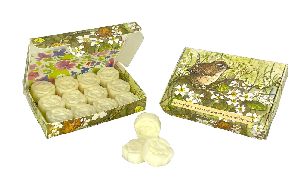 Wax Melt Shapes in illustrated Boxes
