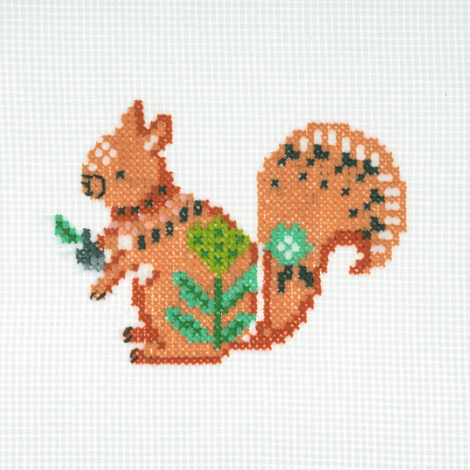 Trimits Mini Counted Cross Stitch Kit: Squirrel