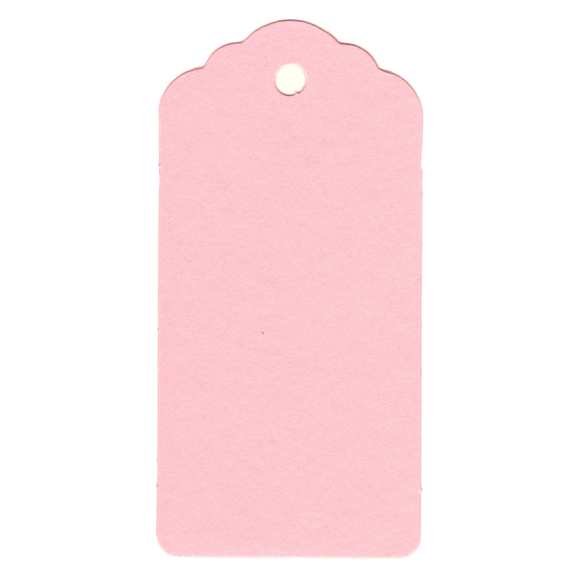100 Rectangle Scalloped Gift Tags with White Satin Ribbon - 21 Colours Christmas