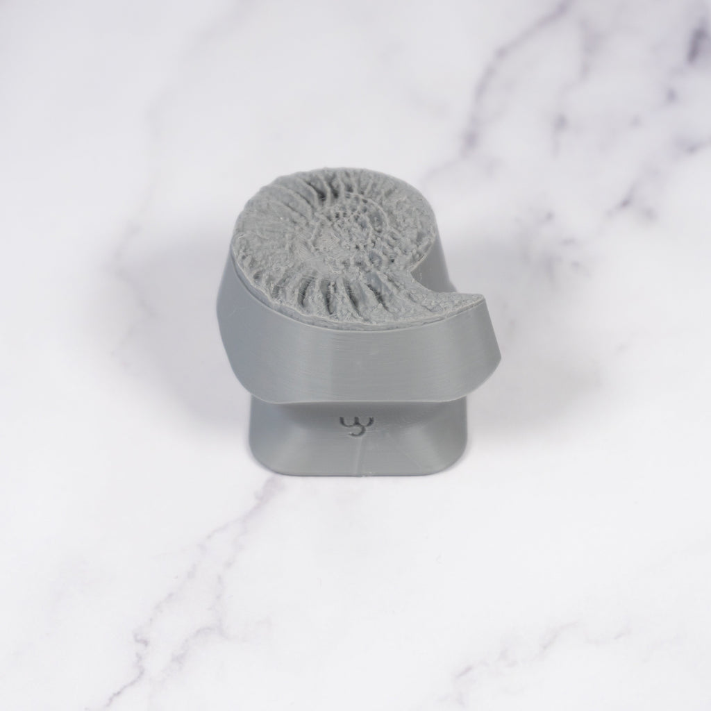 Ammonite Fossil Shell Stamp - Photo Textured - Style #1