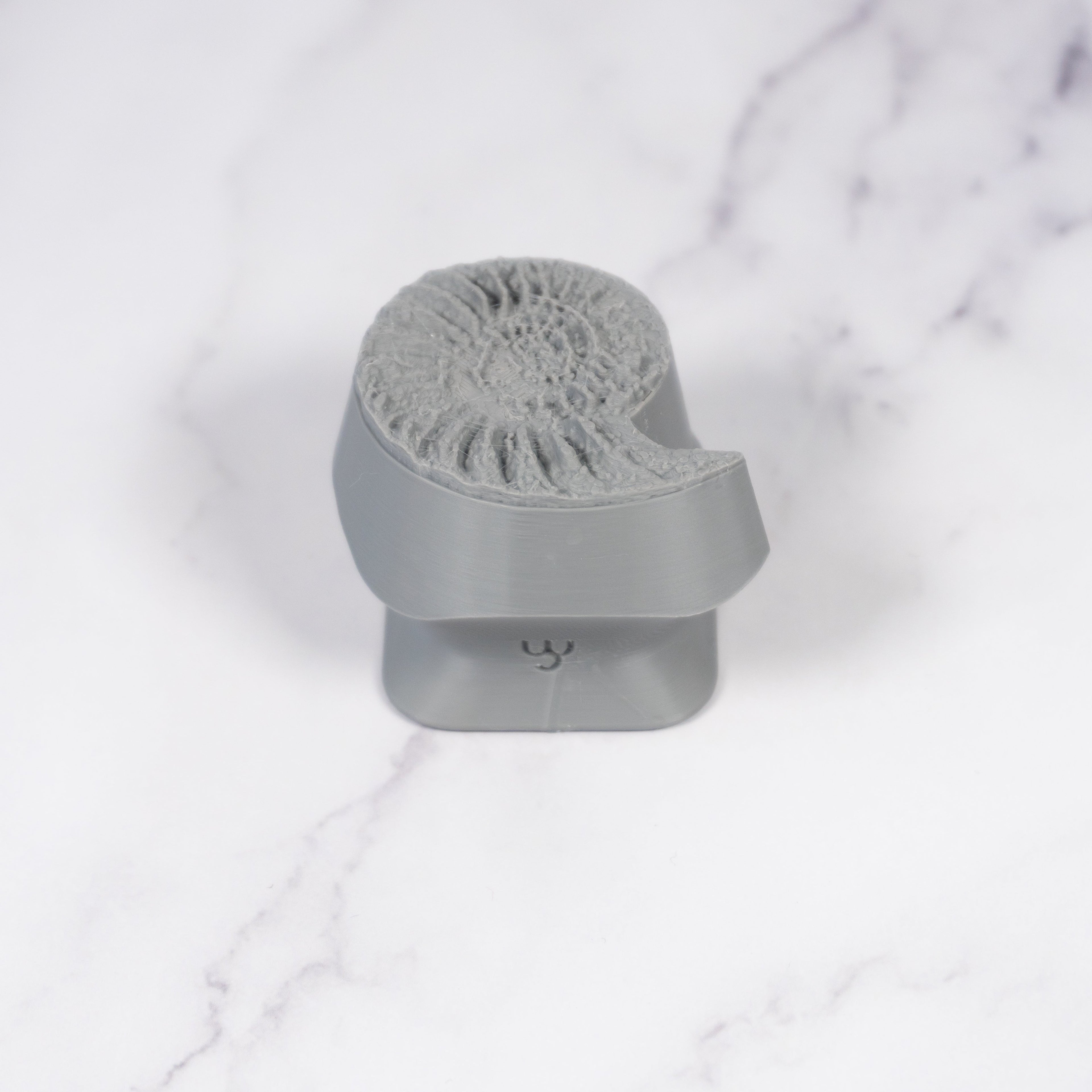 Ammonite Fossil Shell Stamp - Photo Textured - Style #1