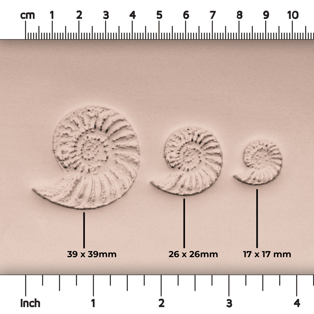 Ammonite Fossil Shell Stamp - Photo Textured - Style #1
