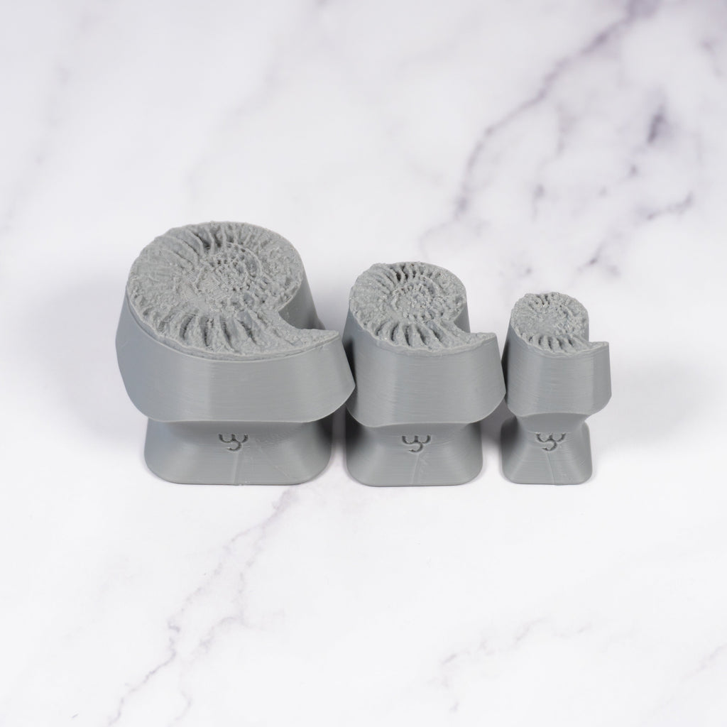 Ammonite Fossil Shell Stamp - Photo Textured - Style #1