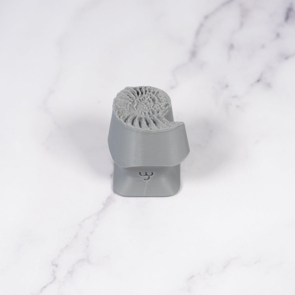 Ammonite Fossil Shell Stamp - Photo Textured - Style #1