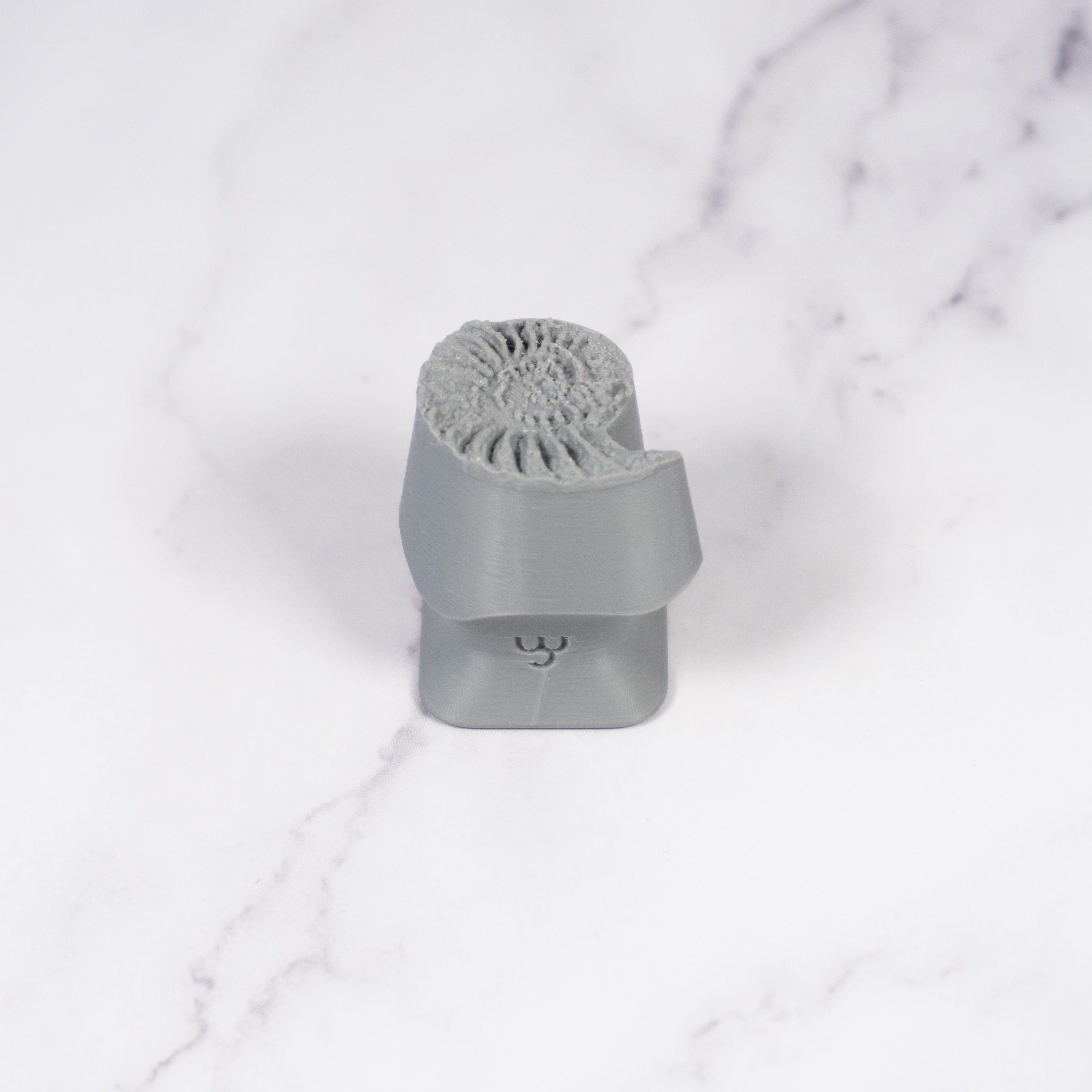 Ammonite Fossil Shell Stamp - Photo Textured - Style #1