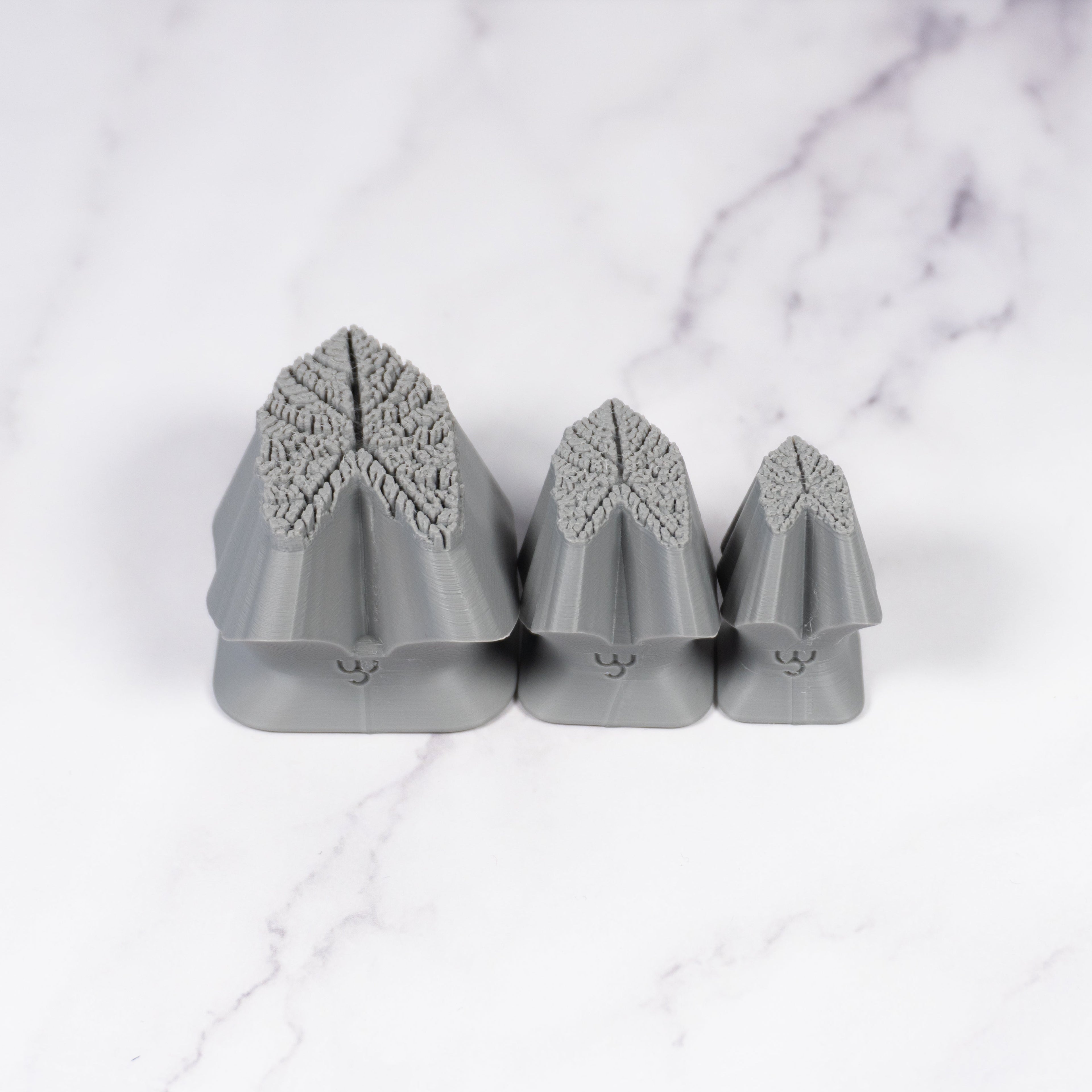 Caladium Tropical Plant Leaf Stamp - Photo Textured - Style #1