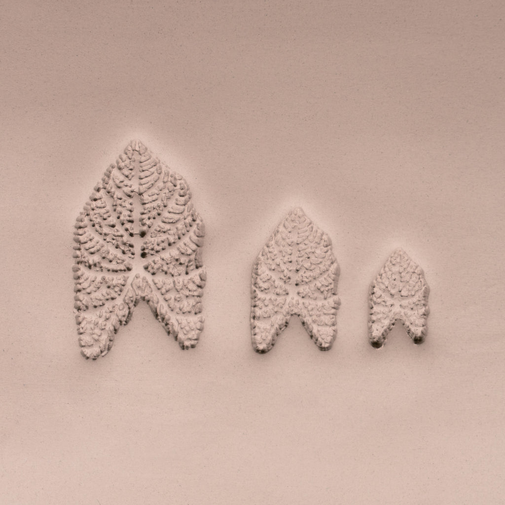 Caladium Tropical Plant Leaf Stamp - Photo Textured - Style #1