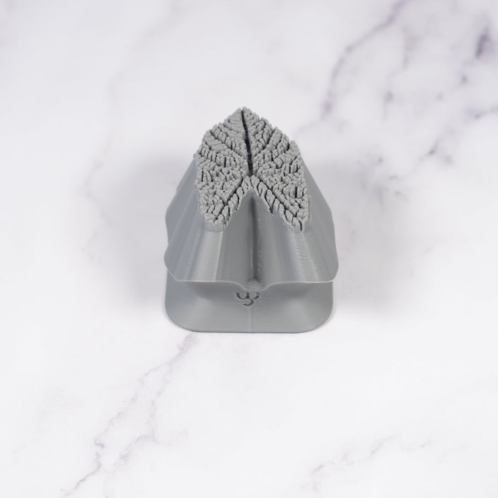 Caladium Tropical Plant Leaf Stamp - Photo Textured - Style #1