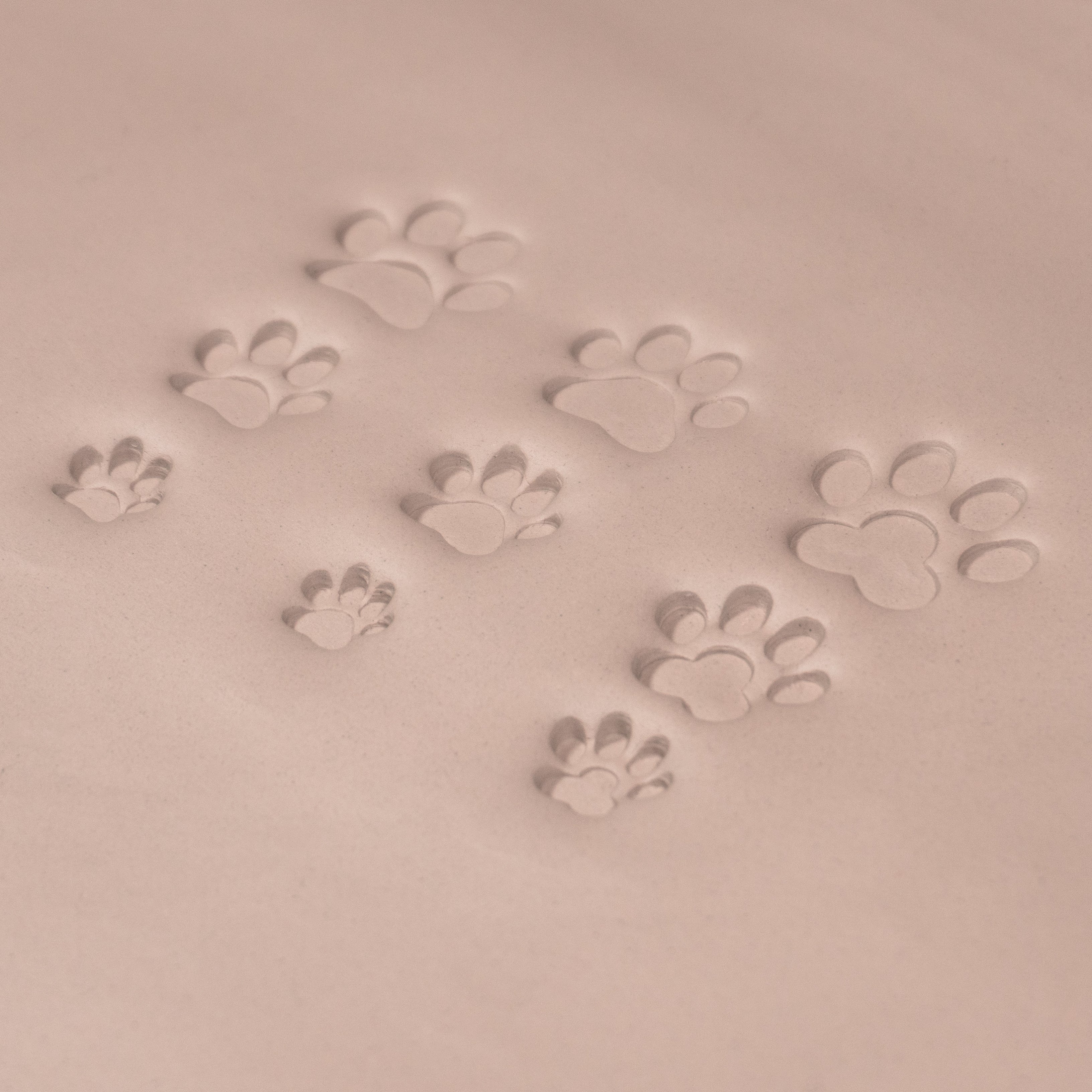 Cat Paw Stamps