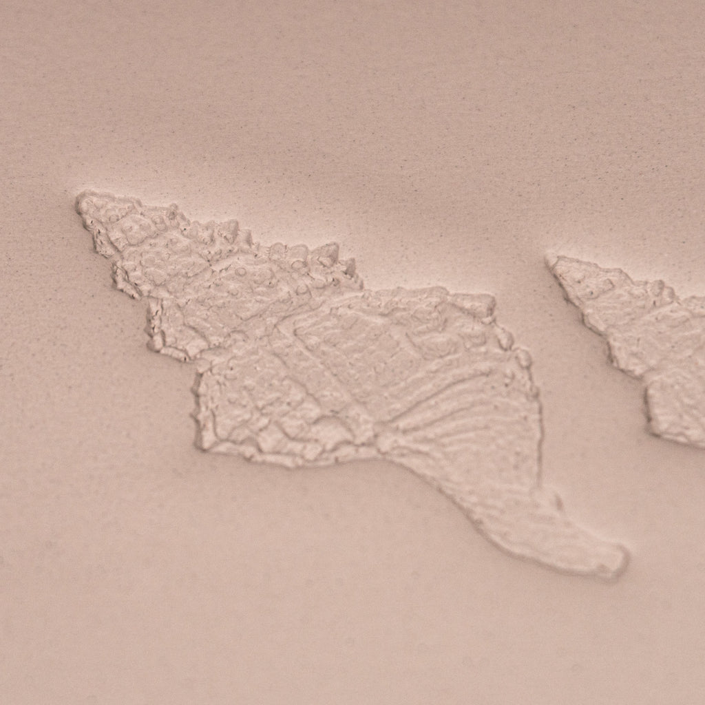 Conch Shell Stamp - Photo Textured - Style #1