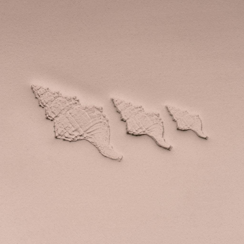 Conch Shell Stamp - Photo Textured - Style #1