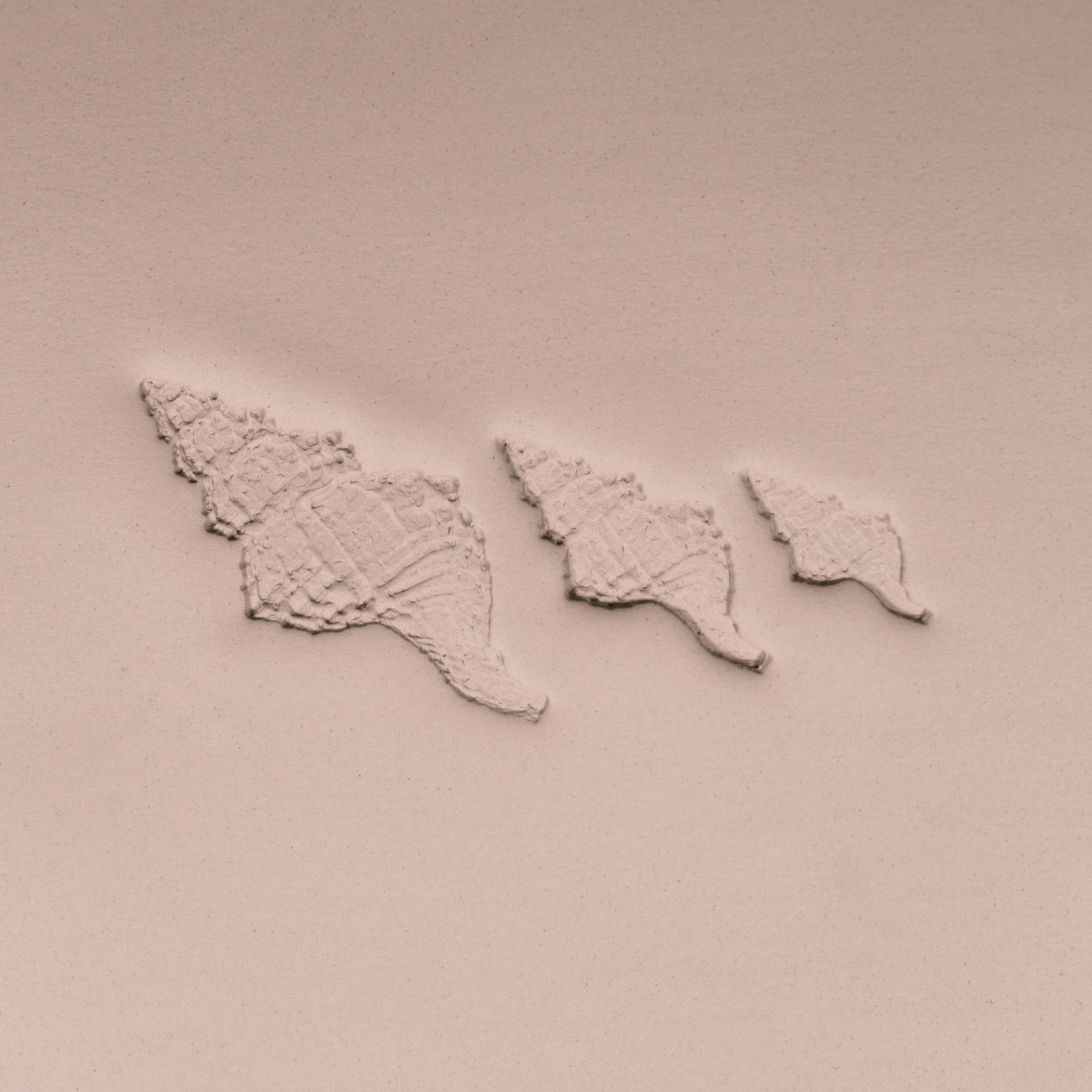 Conch Shell Stamp - Photo Textured - Style #1