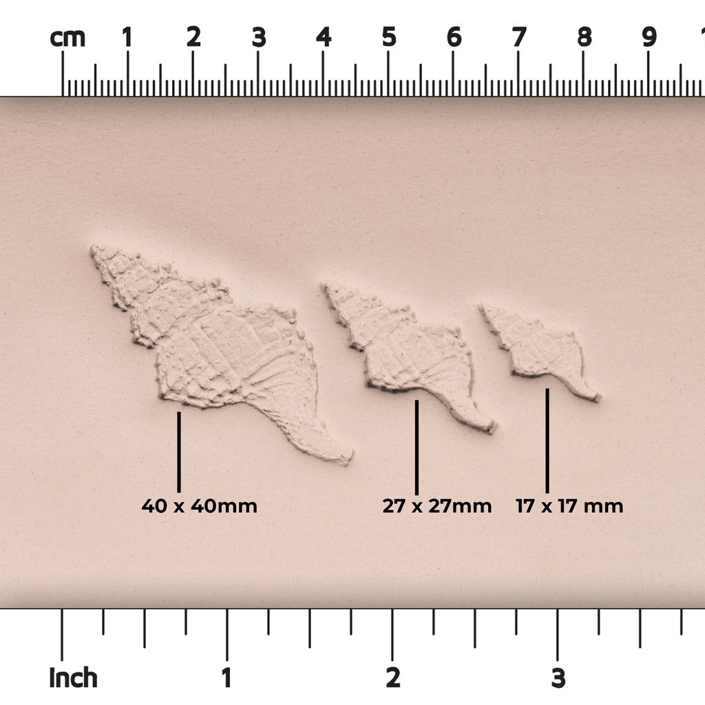 Conch Shell Stamp - Photo Textured - Style #1