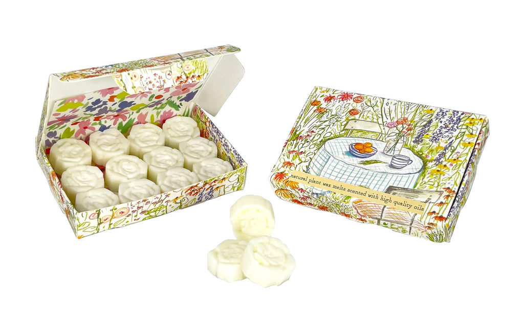 Wax Melt Shapes in illustrated Boxes