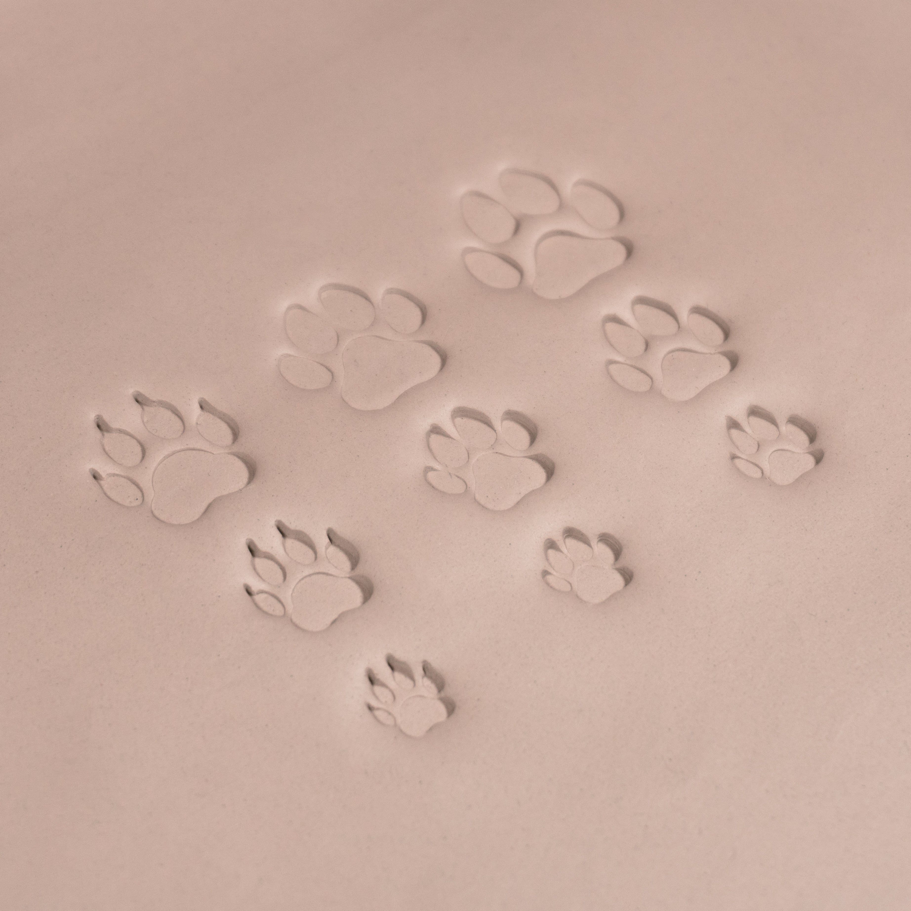 Dog Paw Stamps