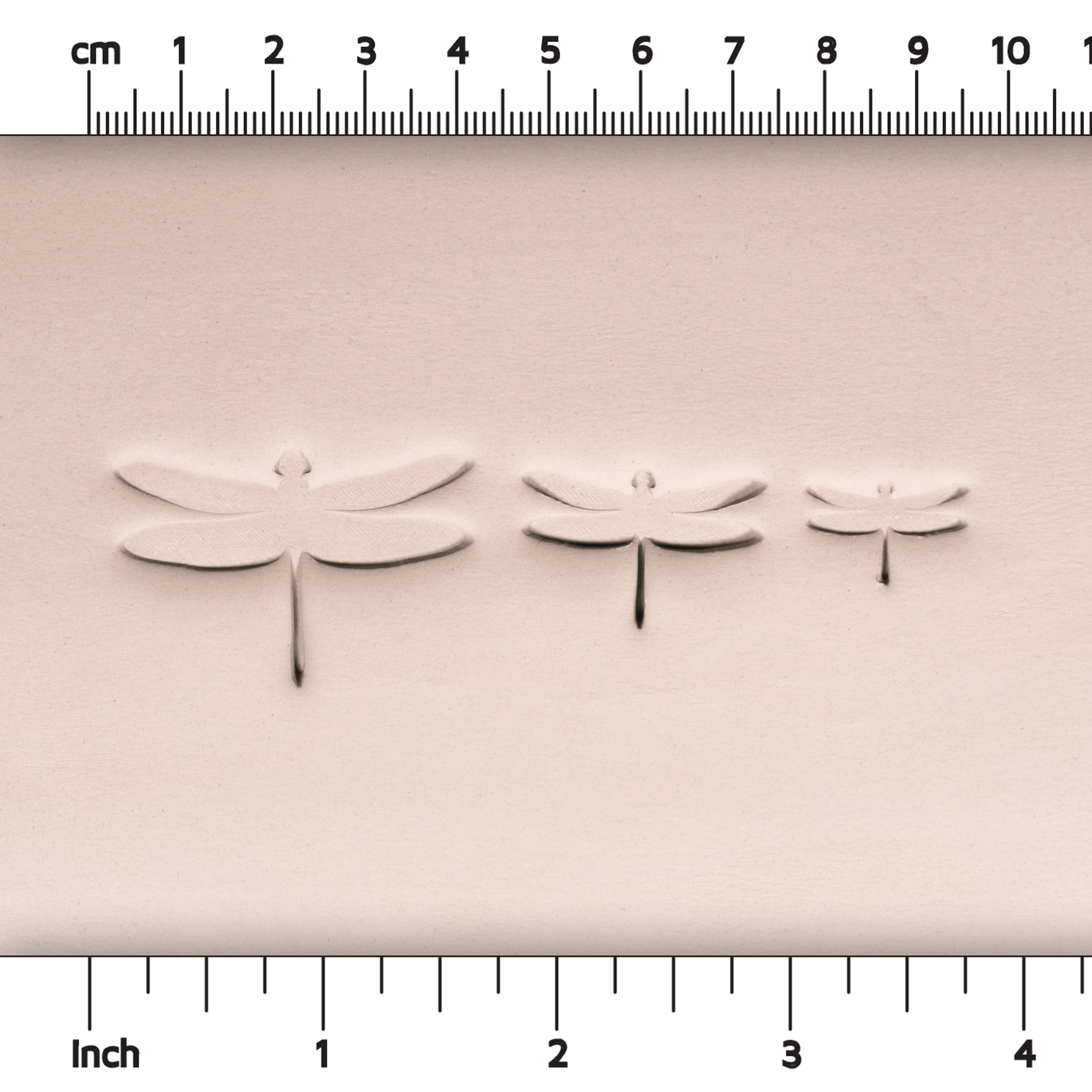 Dragonfly Stamps - Style #1