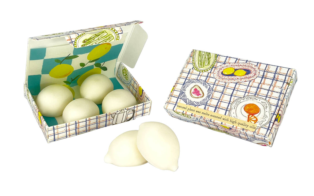 Wax Melt Shapes in illustrated Boxes