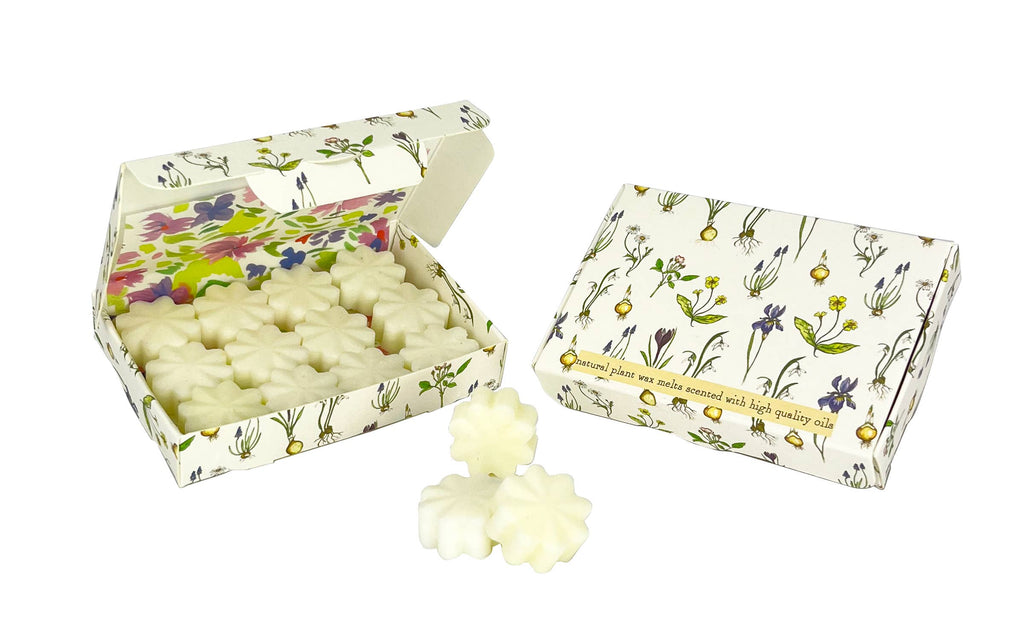 Wax Melt Shapes in illustrated Boxes