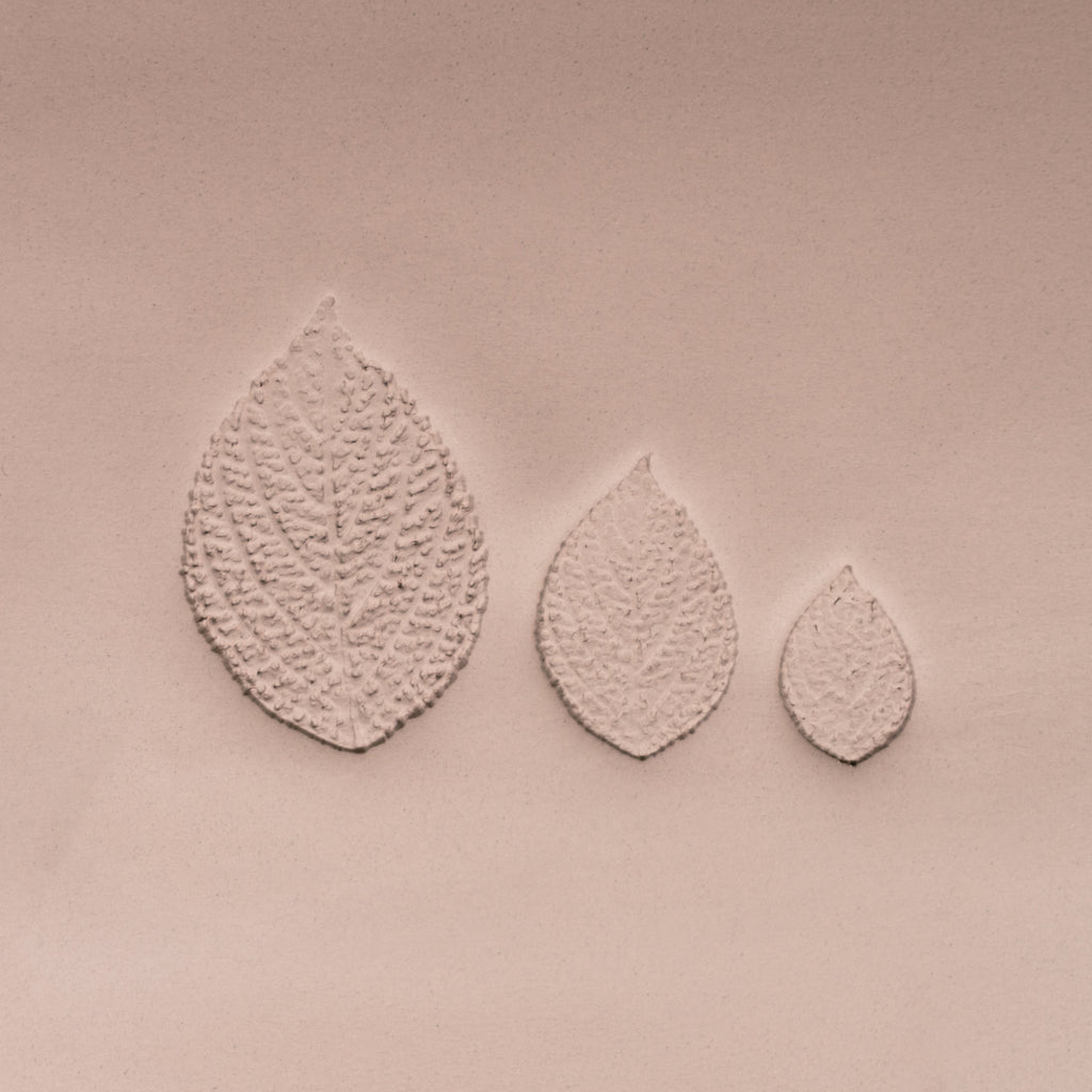 Generic Plant Leaf Stamp - Photo Textured - Style #2