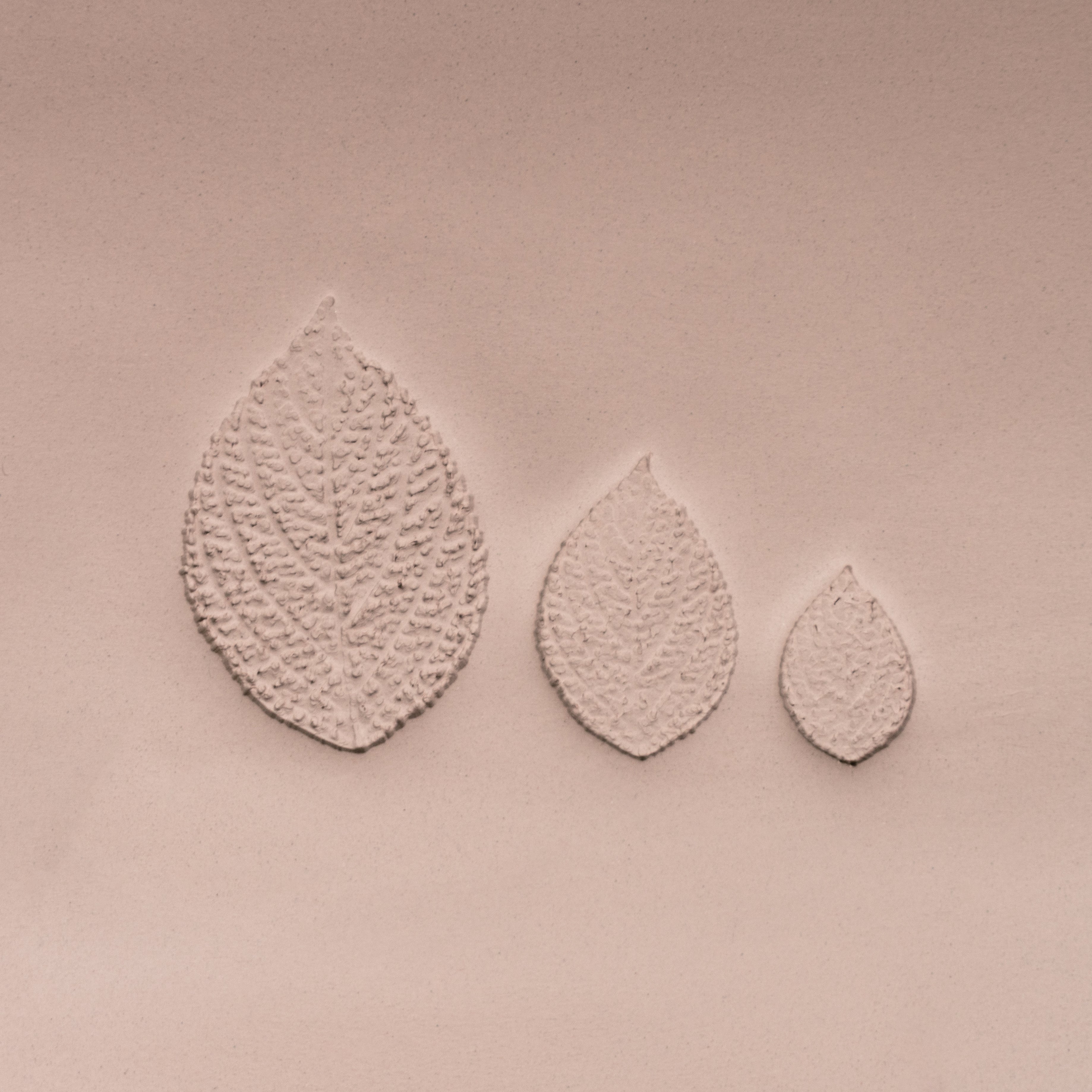 Generic Plant Leaf Stamp - Photo Textured - Style #2