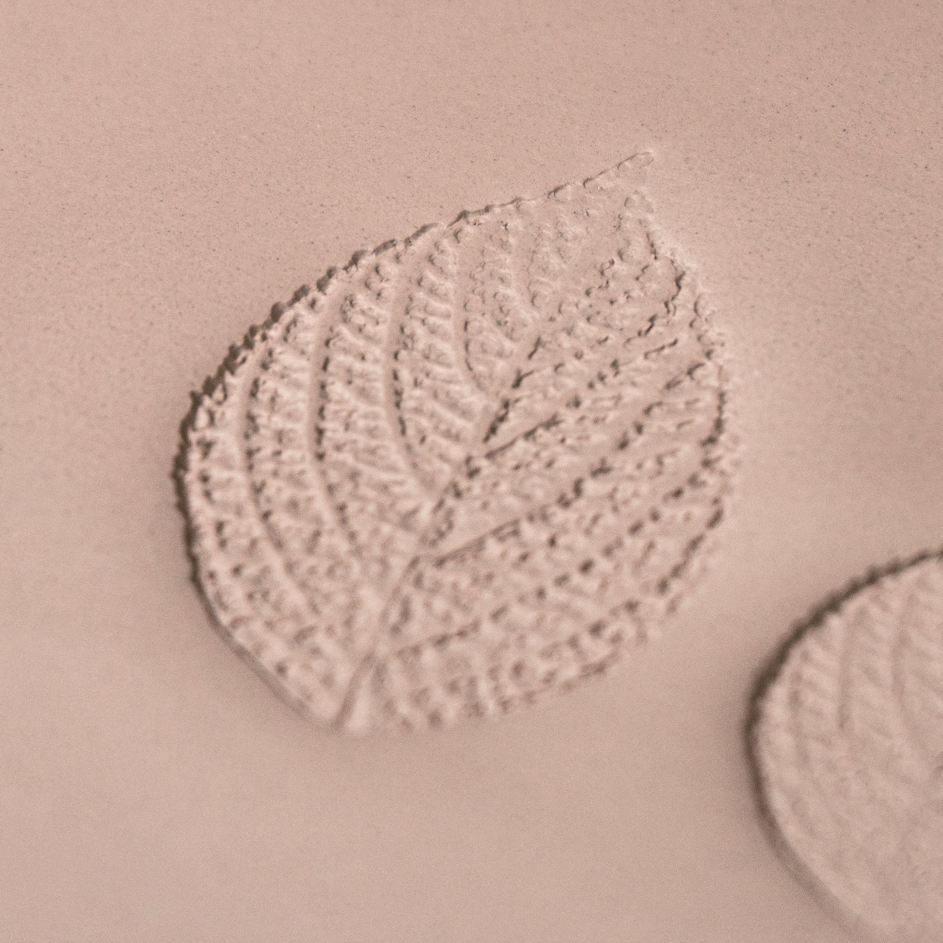 Generic Plant Leaf Stamp - Photo Textured - Style #2
