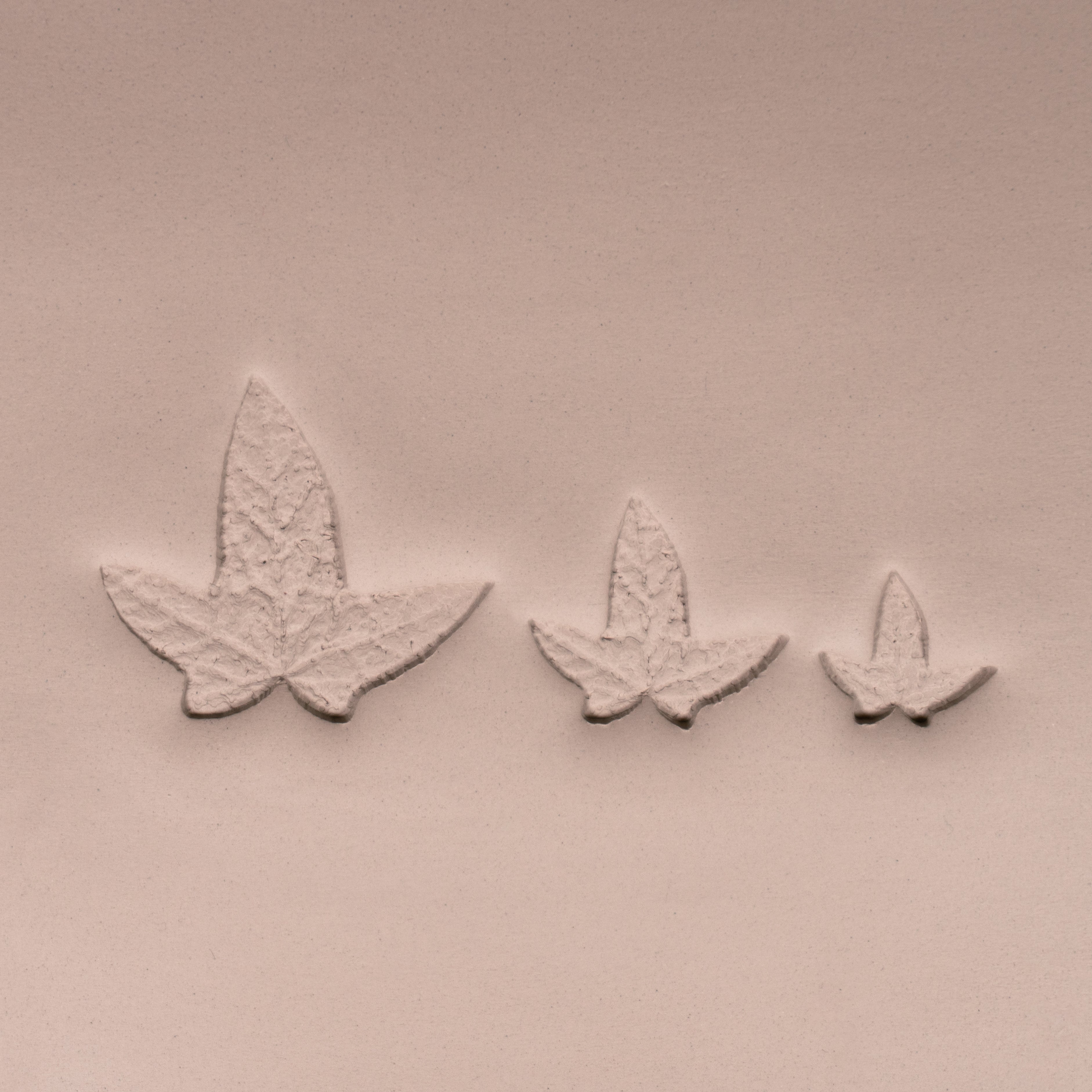 Ivy Leaf Stamp - Photo Textured - Style #3