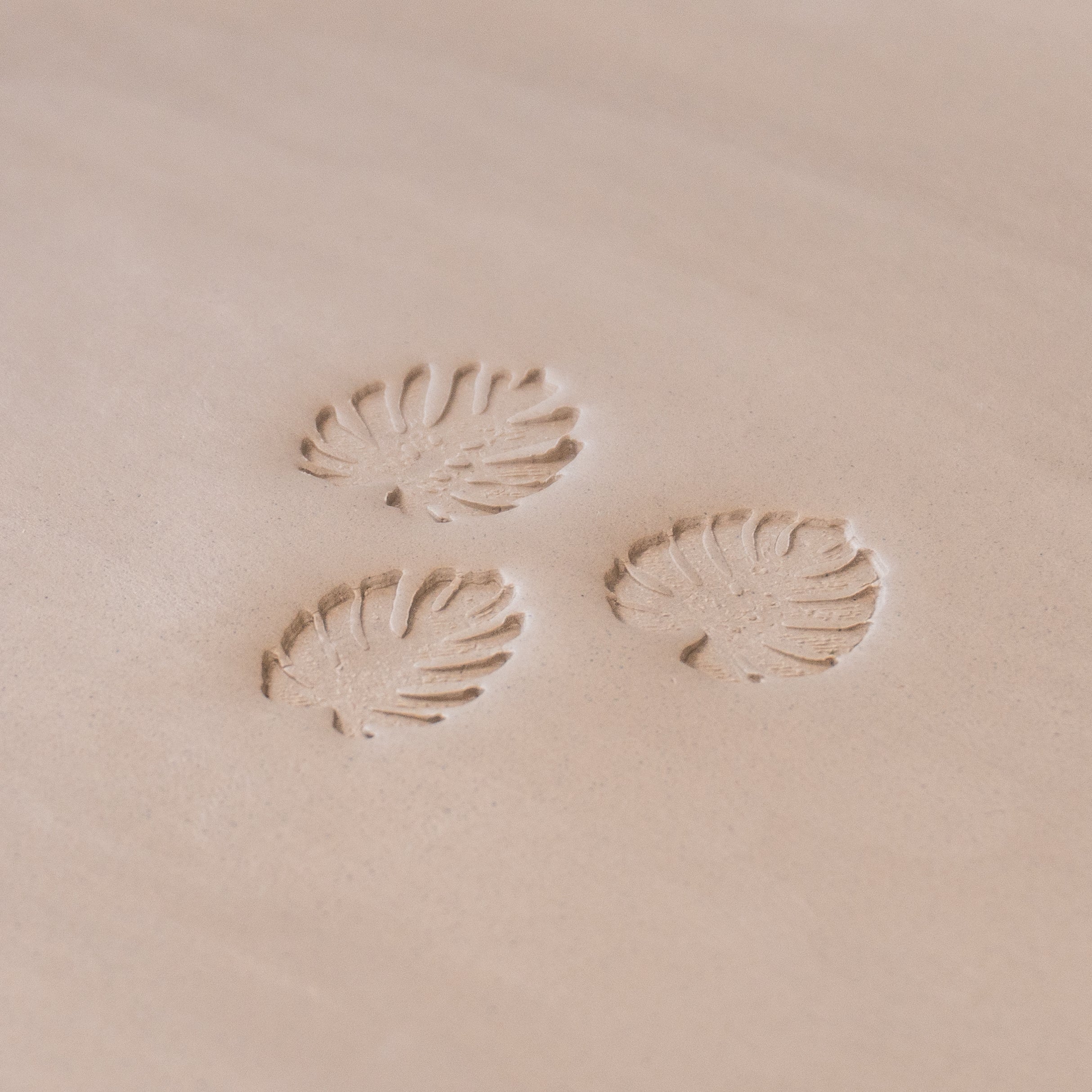 Monstera Leaf Stamps - 3 Styles & Sizes