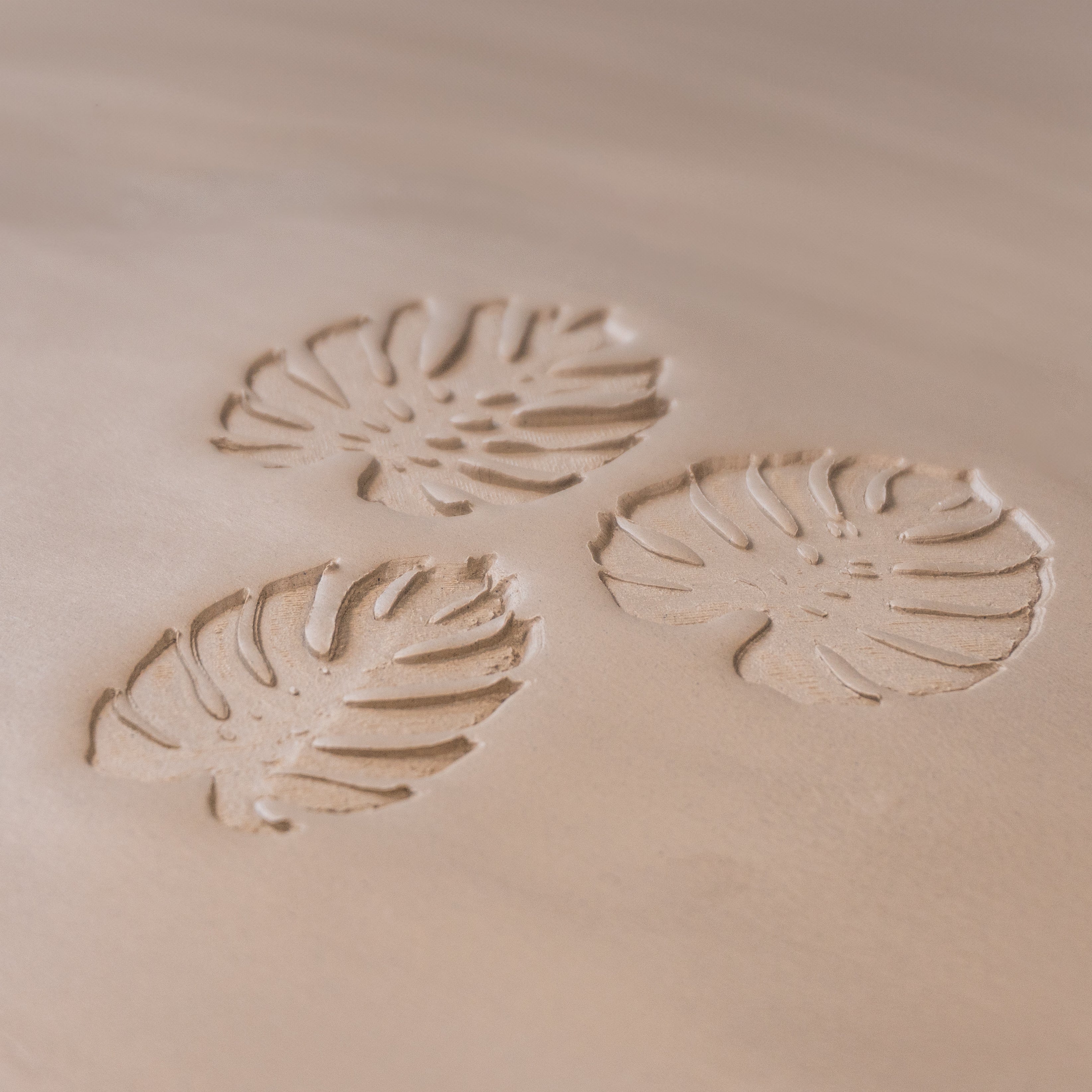 Monstera Leaf Stamps - 3 Styles & Sizes