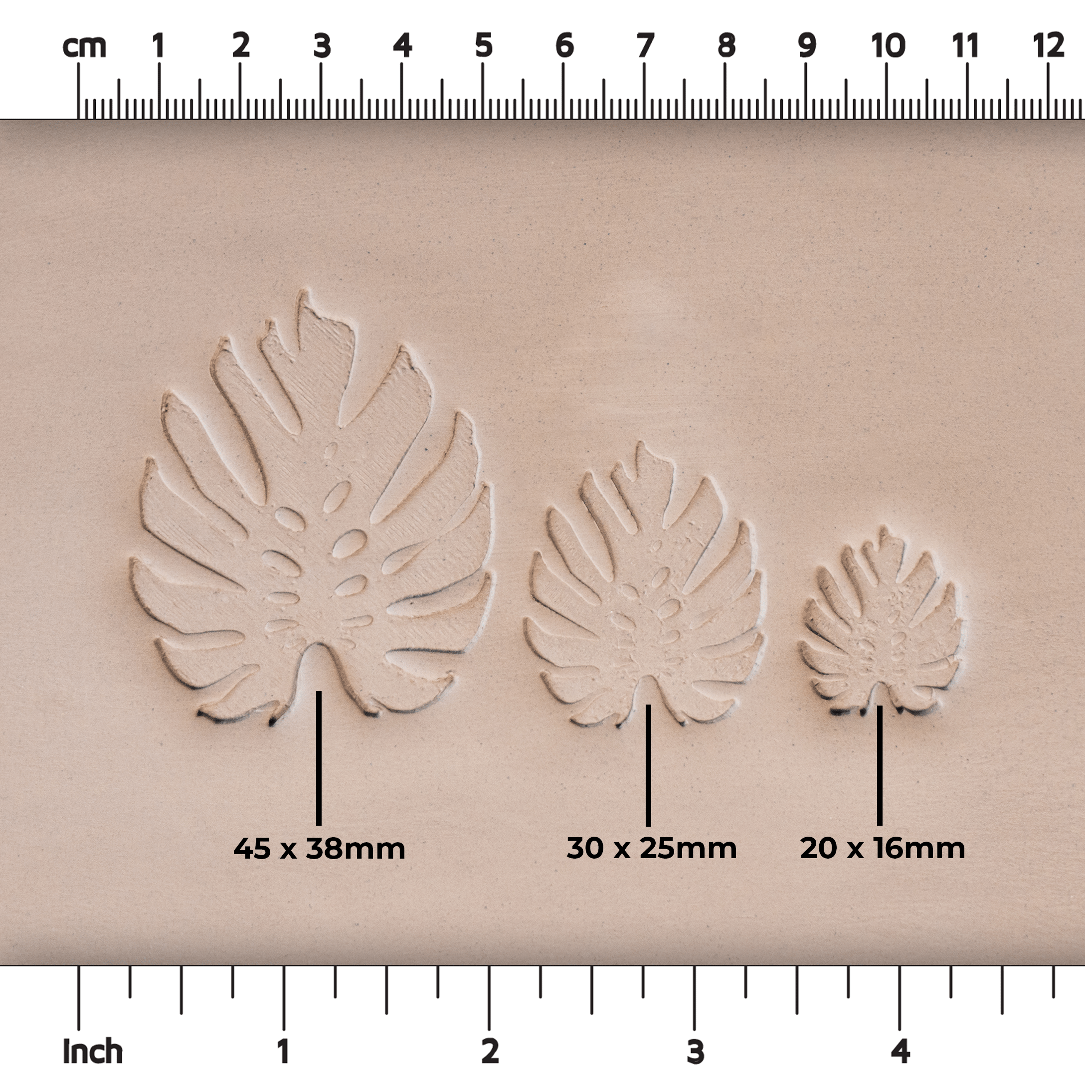Monstera Leaf Stamps - 3 Styles & Sizes