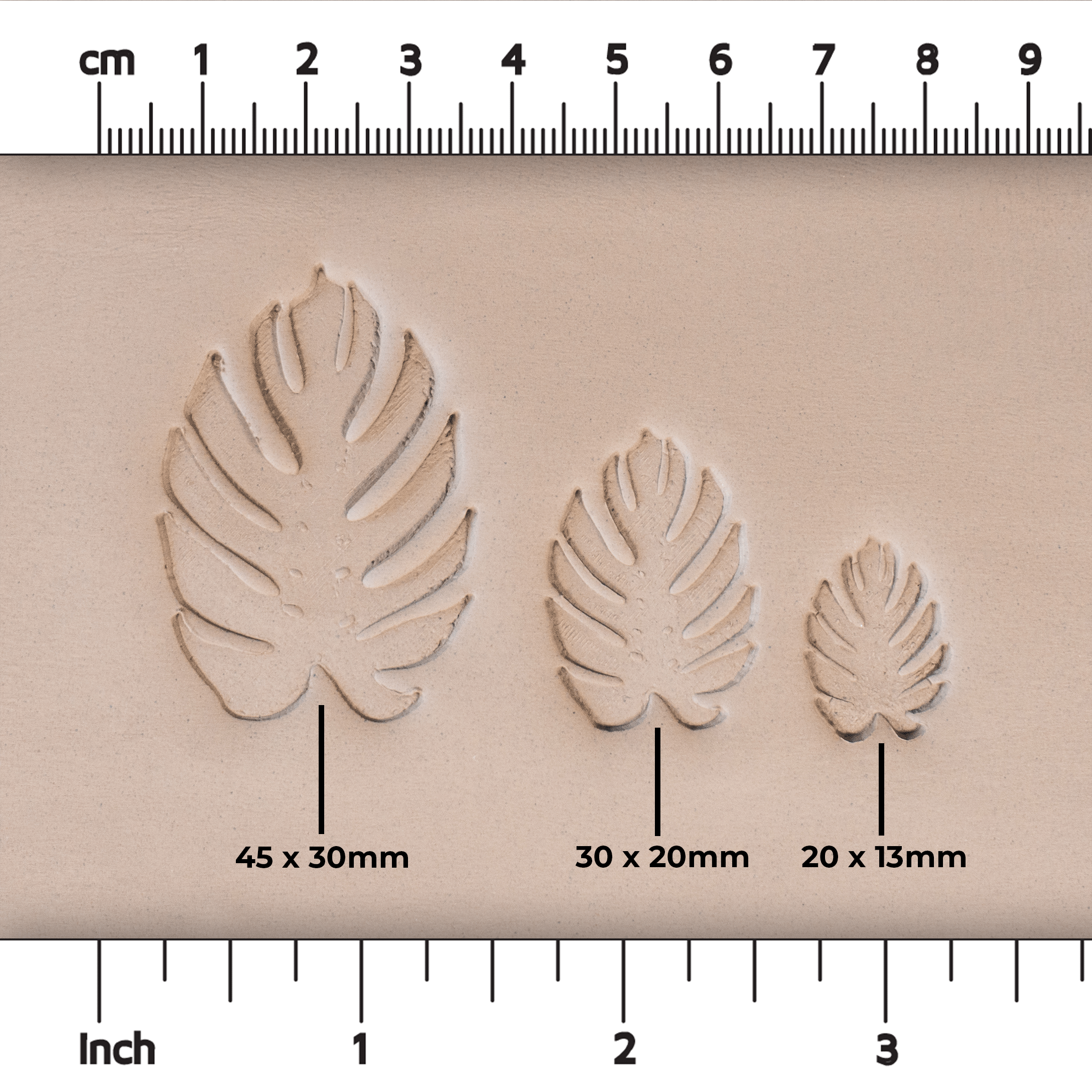 Monstera Leaf Stamps - 3 Styles & Sizes