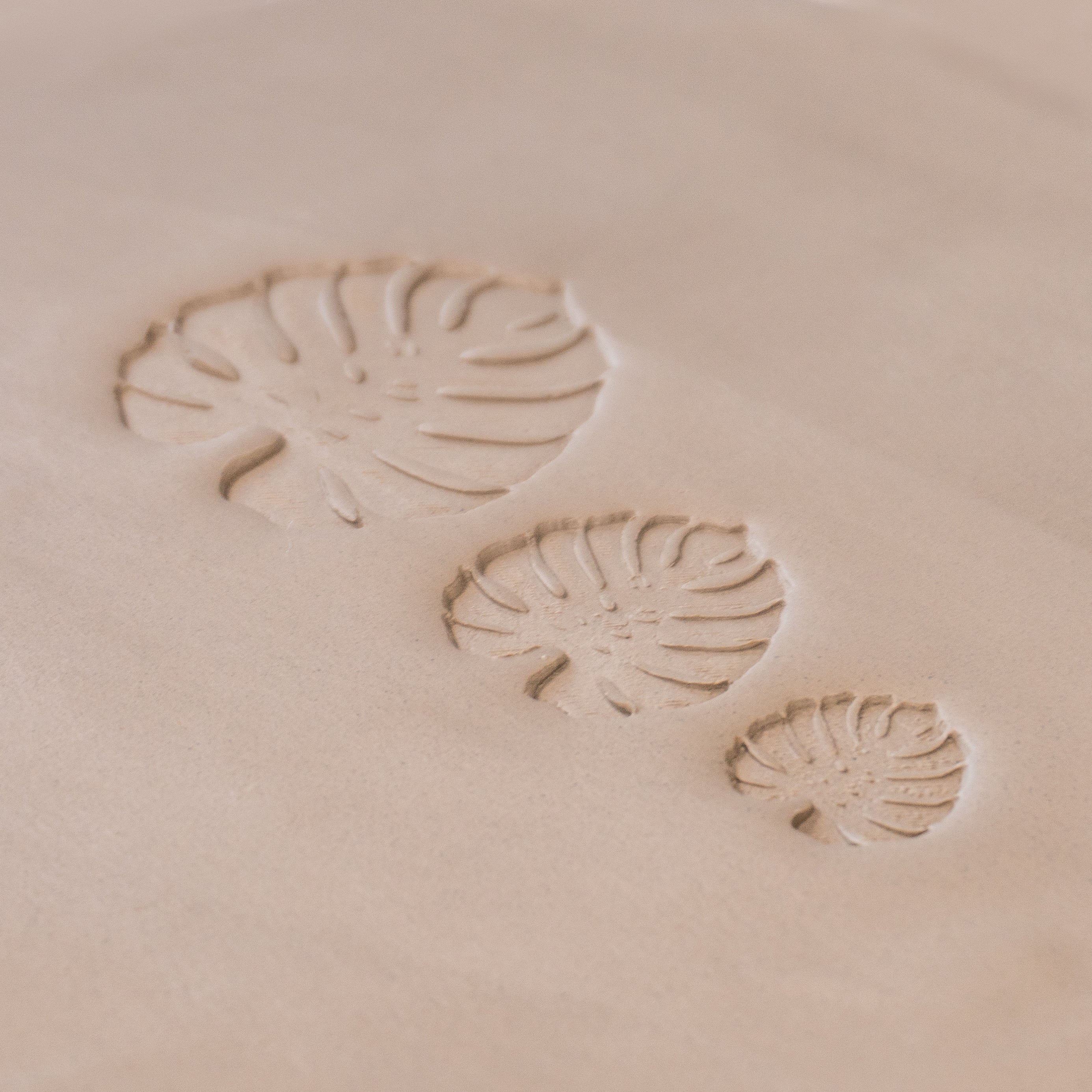 Monstera Leaf Stamps - 3 Styles & Sizes