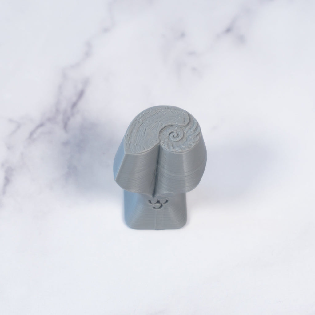 Nautilus Shell Stamp - Photo Textured - Style #1