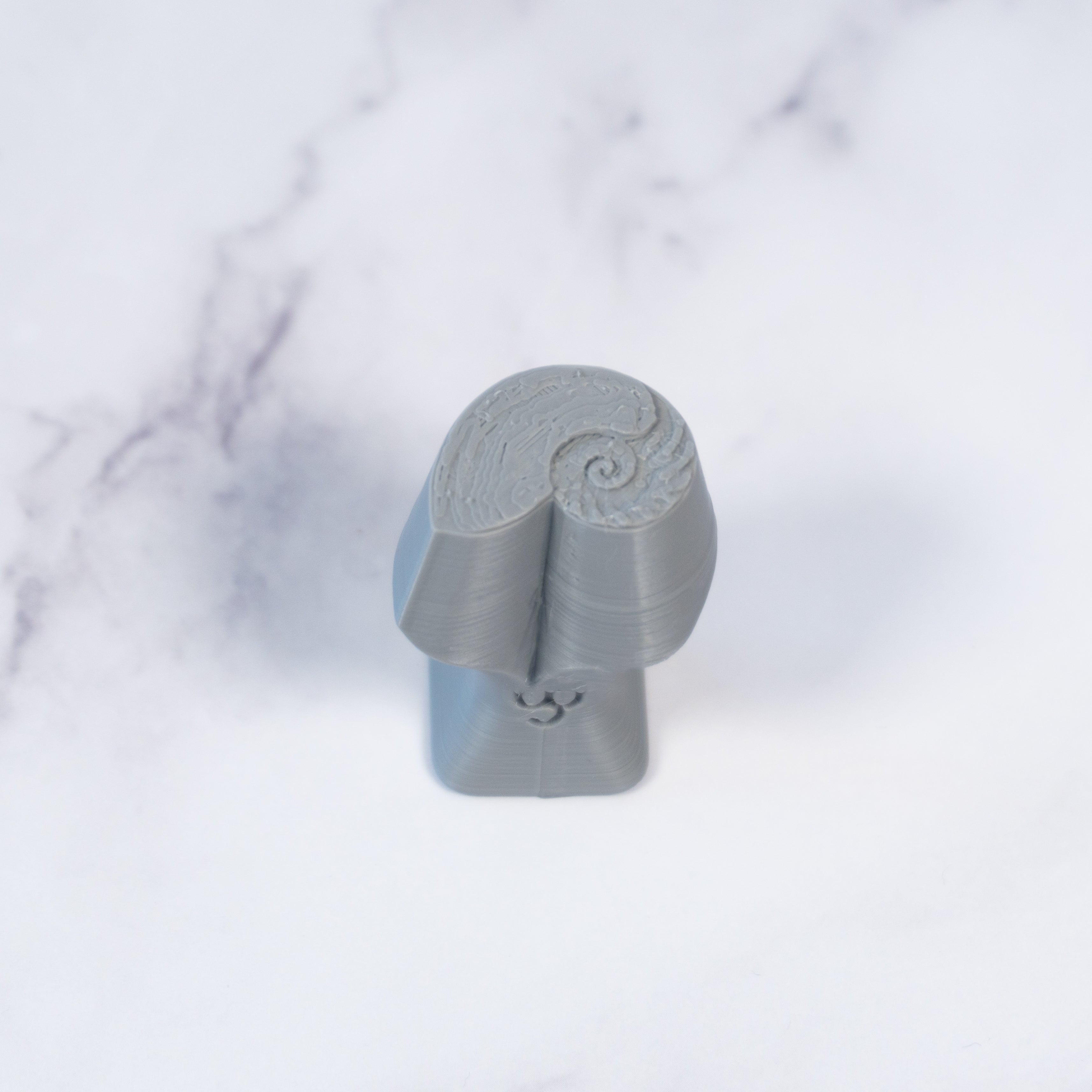 Nautilus Shell Stamp - Photo Textured - Style #1