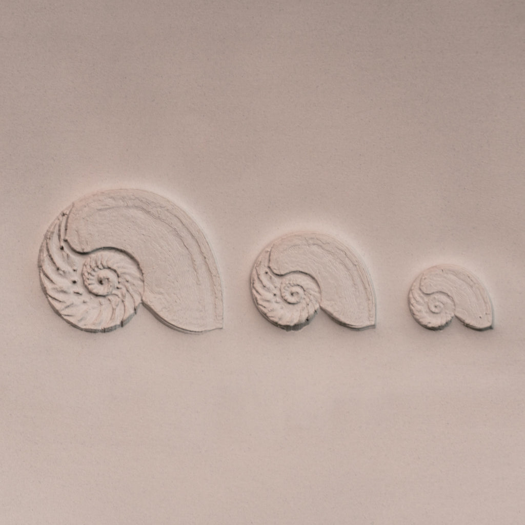 Nautilus Shell Stamp - Photo Textured - Style #1