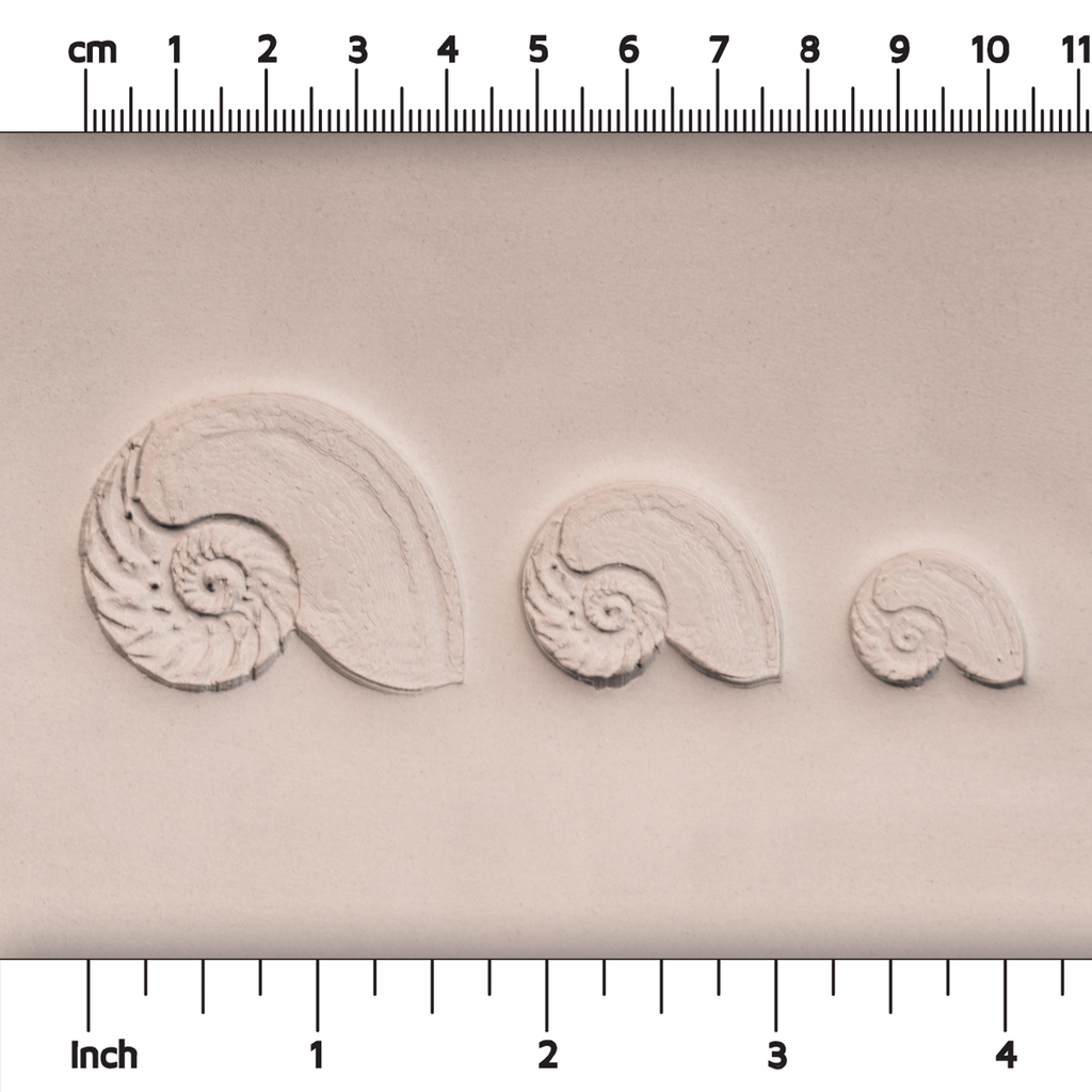 Nautilus Shell Stamp - Photo Textured - Style #1