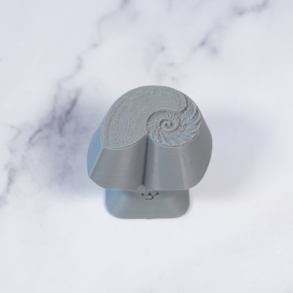 Nautilus Shell Stamp - Photo Textured - Style #1