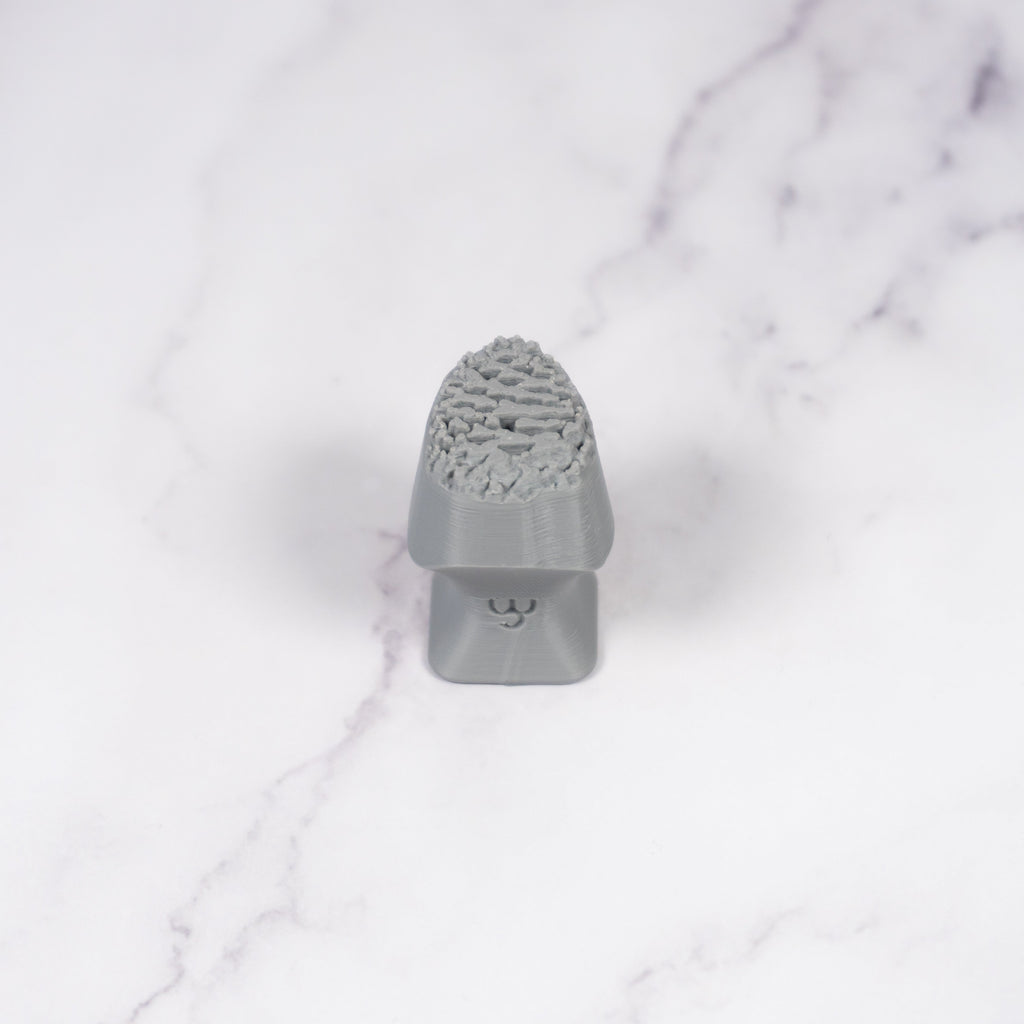 Pinecone Stamp - Photo Textured - Style #1