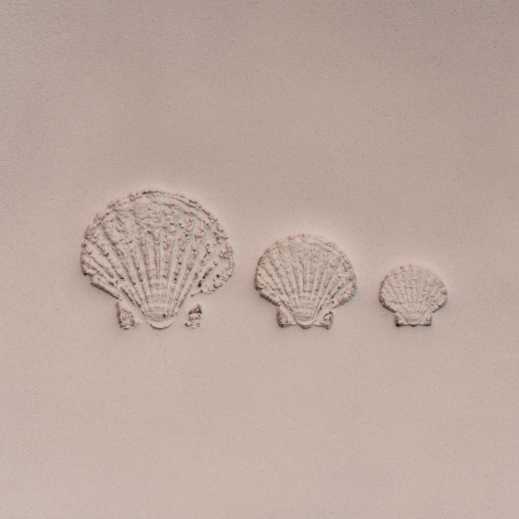 Scallop Shell Stamp - Photo Textured - Style #1