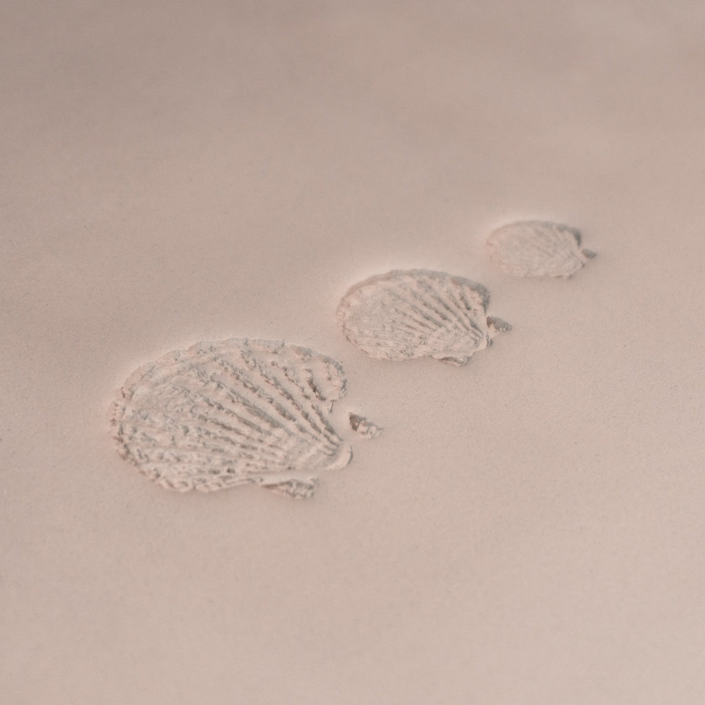 Scallop Shell Stamp - Photo Textured - Style #1