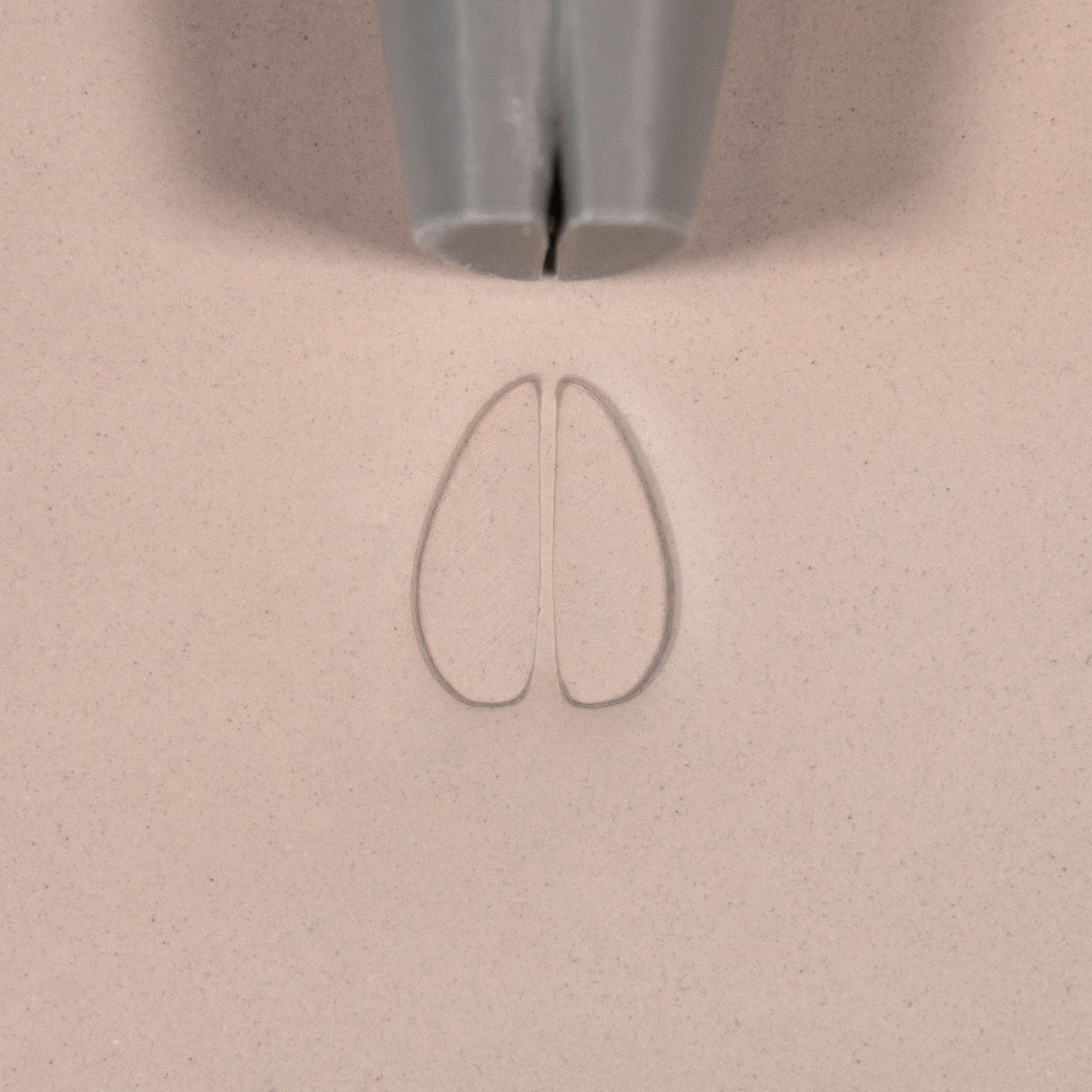 Sheep Hoof Stamp - Medium - Style #1