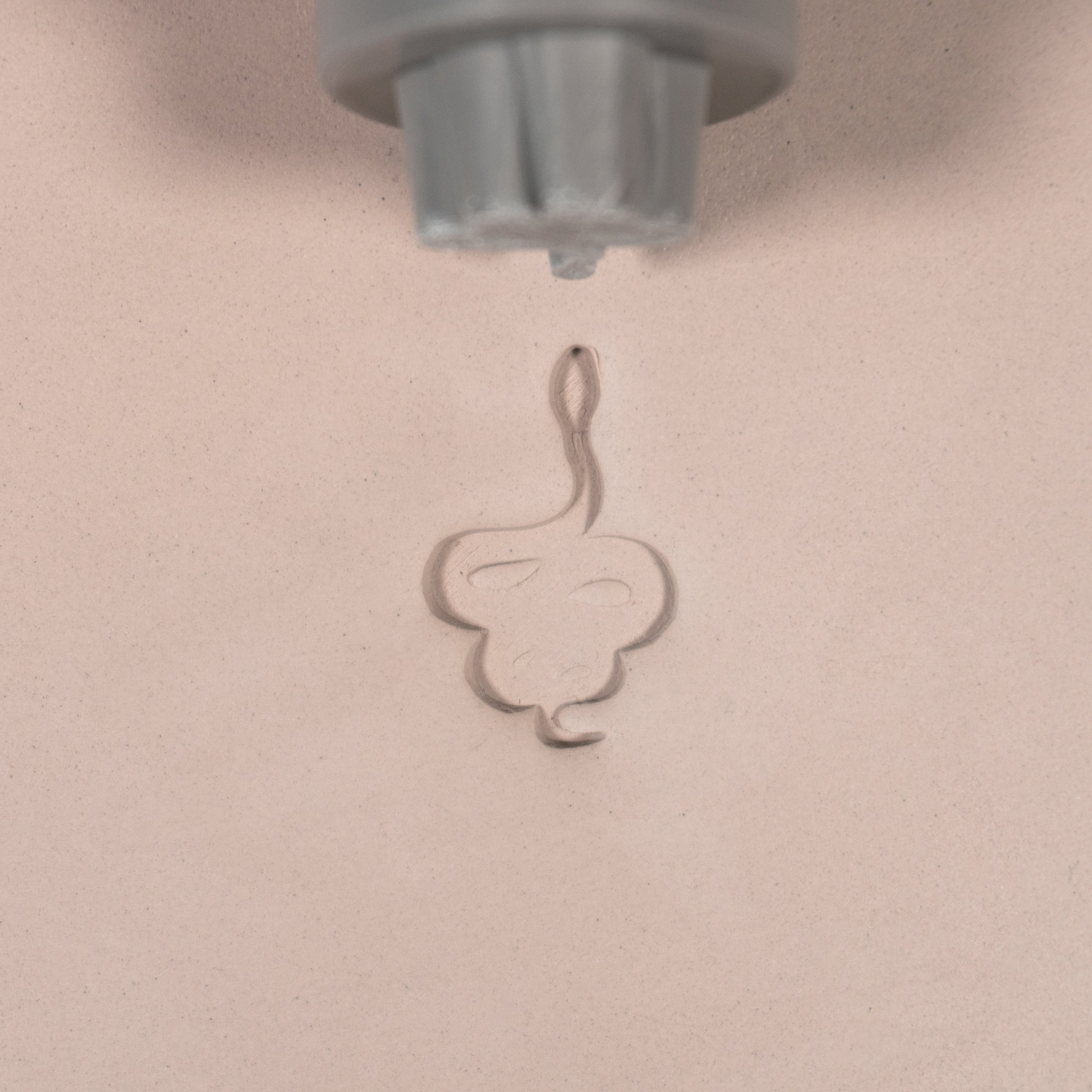 Snake Stamp Set of 6