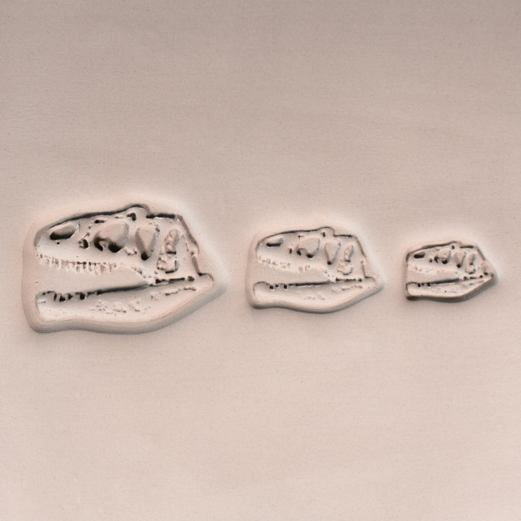T-Rex Dinosaur Skull Fossil Stamp - Photo Textured - Style #1