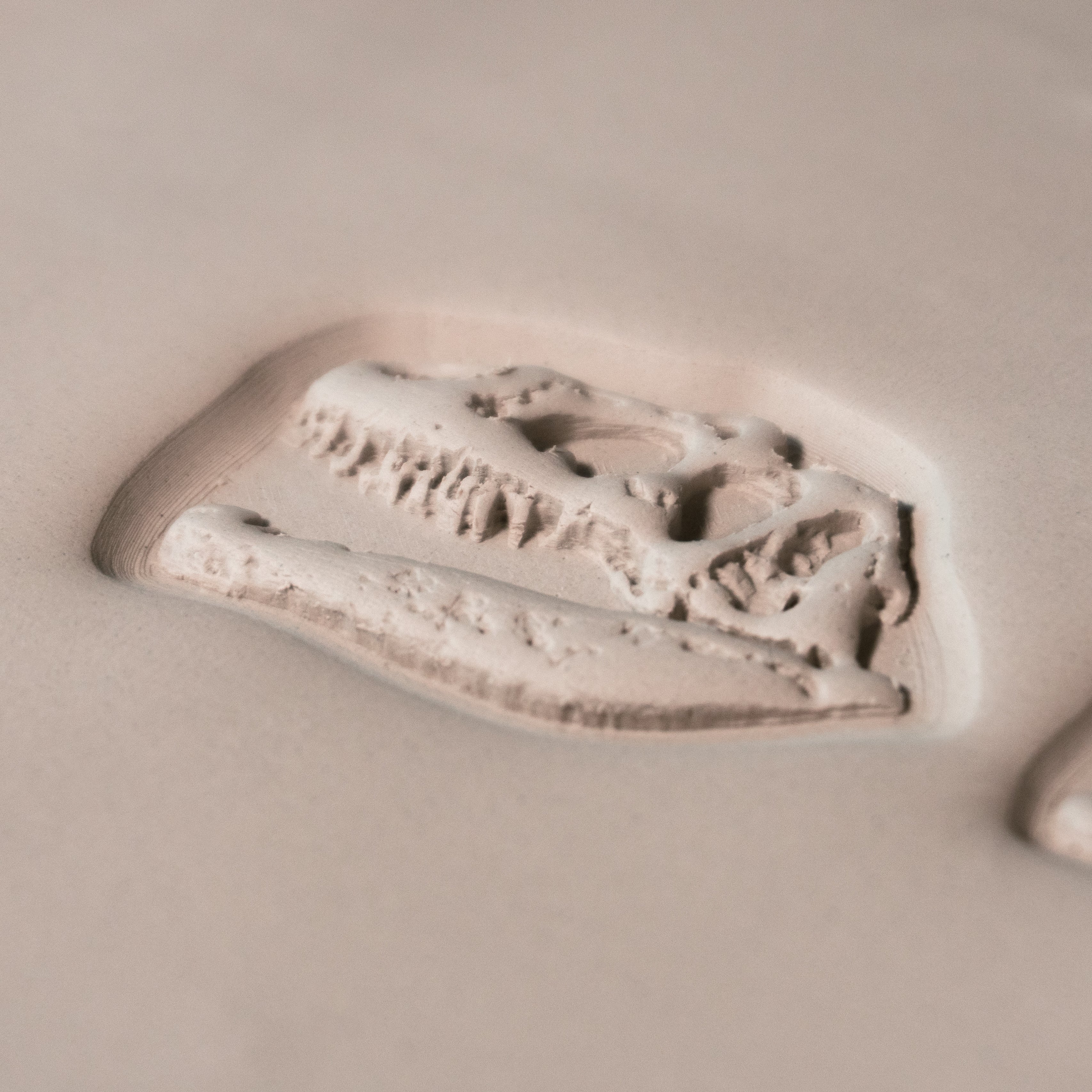 T-Rex Dinosaur Skull Fossil Stamp - Photo Textured - Style #1