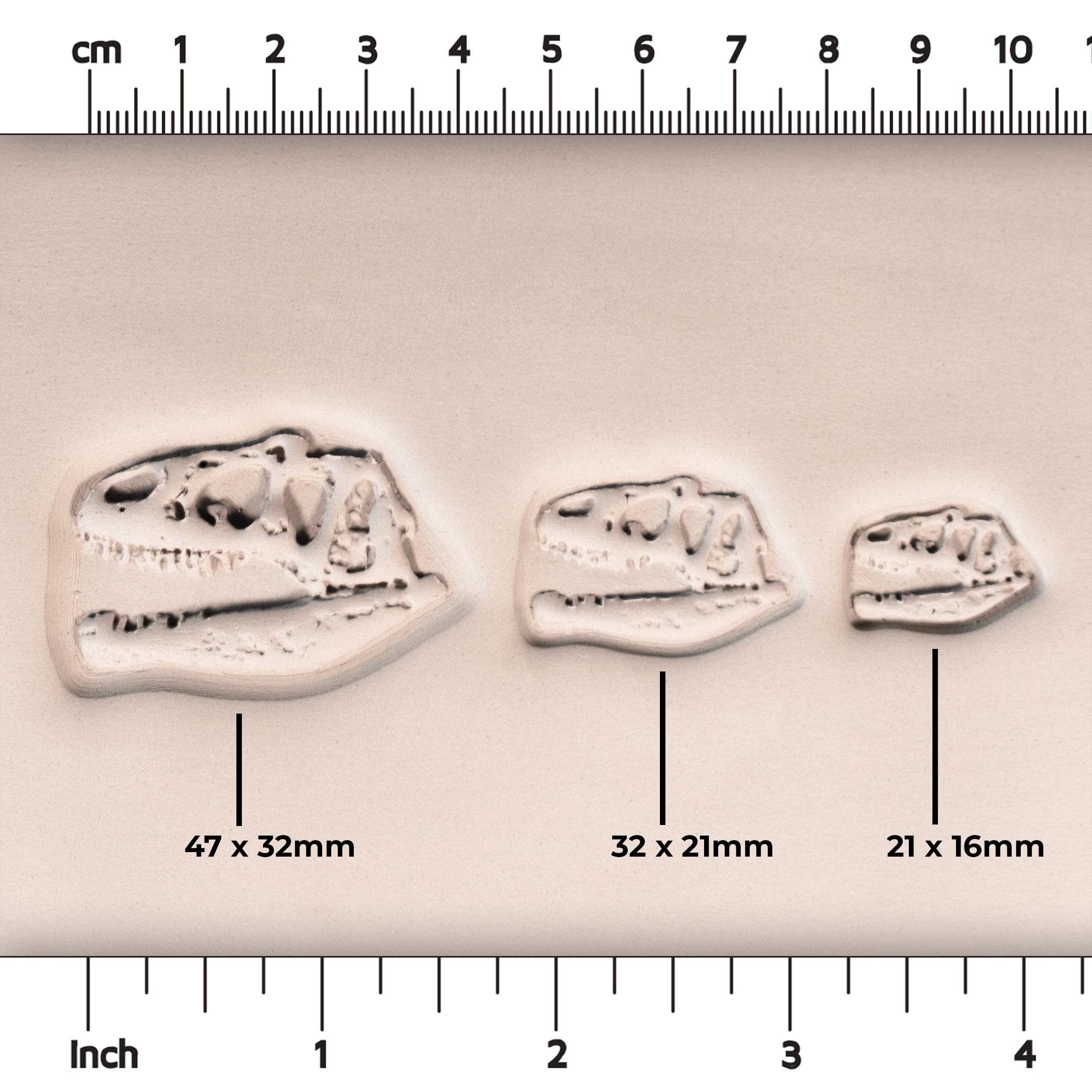 T-Rex Dinosaur Skull Fossil Stamp - Photo Textured - Style #1