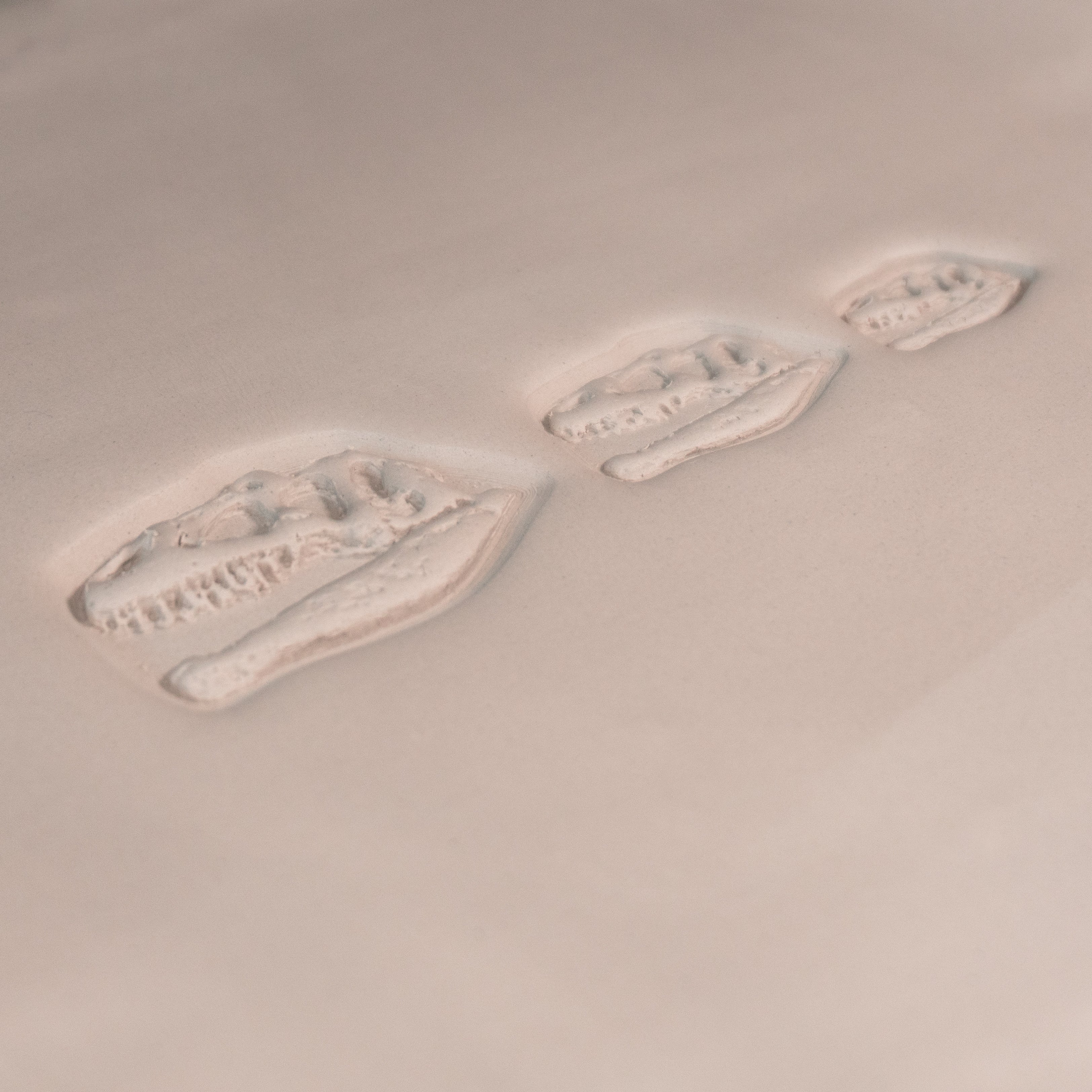 T-Rex Dinosaur Skull Fossil Stamp - Photo Textured - Style #1